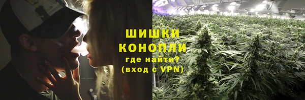 гидра Алексеевка