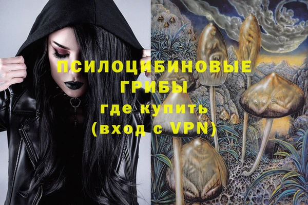 винт Алексин