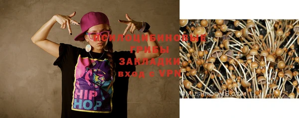 винт Алексин