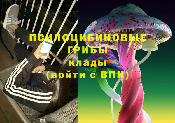 винт Алексин
