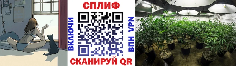 Конопля MAZAR  MEGA сайт  Нижняя Салда 